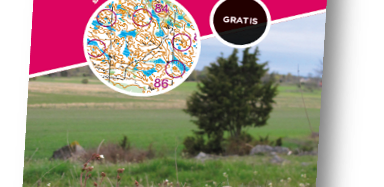 Bild1