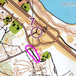 Nr7_Amsberg