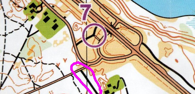 Nr7_Amsberg