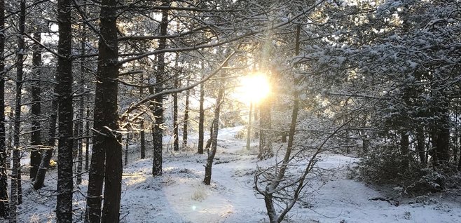 Sol och tunt snötäcke