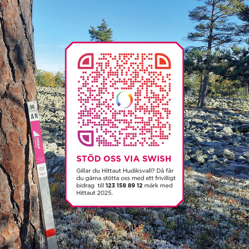 hudikinstaswish