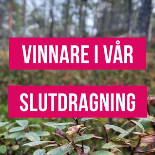 vinnareslutdragning24