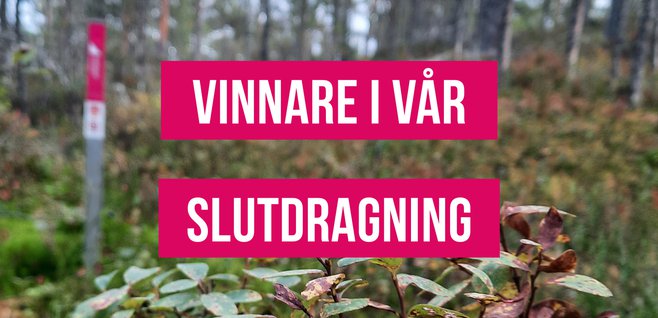 vinnareslutdragning24