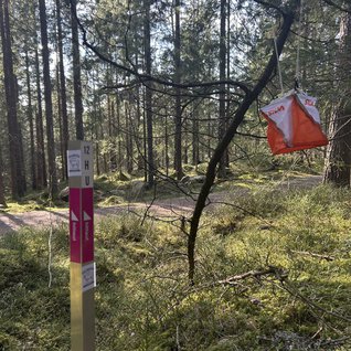 11da0af0-fe62-4122-958f-7e226e27ba97