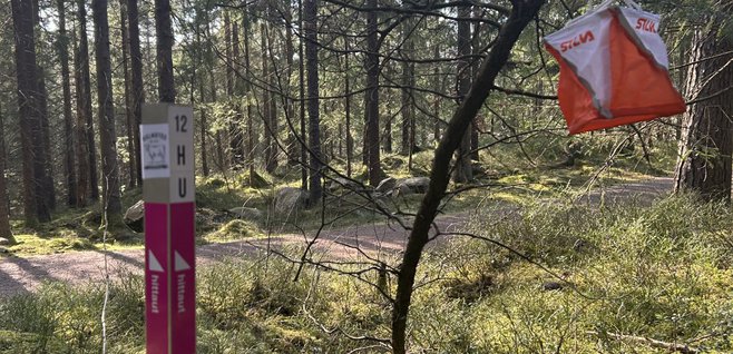 11da0af0-fe62-4122-958f-7e226e27ba97