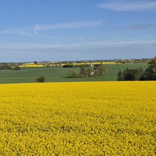 Raps TrelleborgVellinge 1