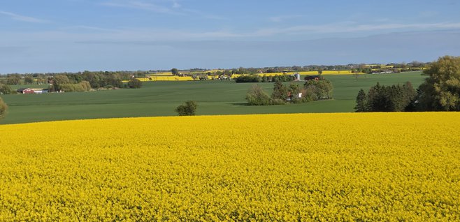 Raps TrelleborgVellinge 1