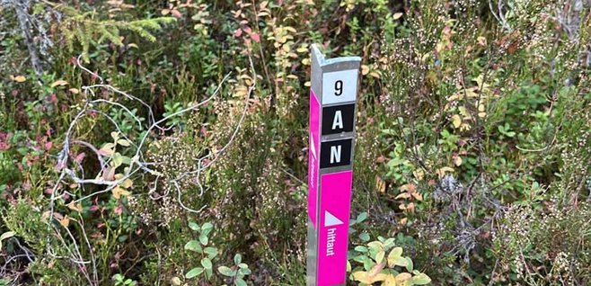 Checkpoint i skog