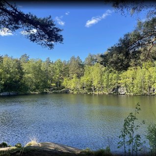 Bergsjö sjön nätet