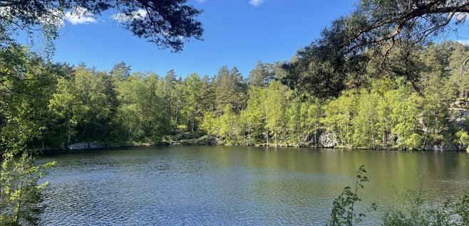 Bergsjö sjön nätet