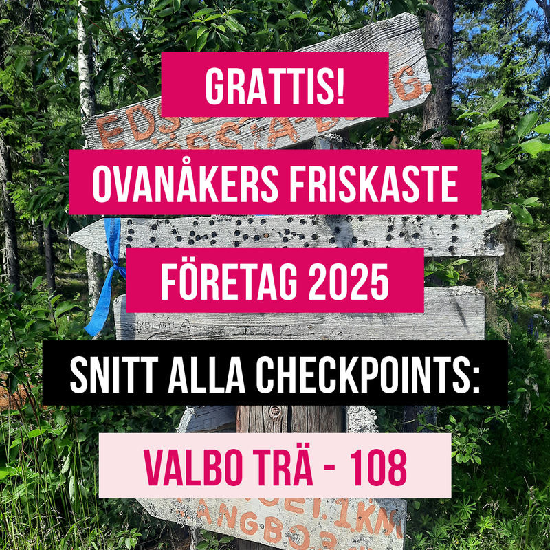 företag2025-snitt