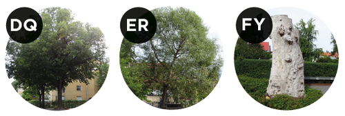 Norrtälje Fotocheckpoints 4-6