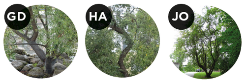 Norrtälje Fotocheckpoints 7-9