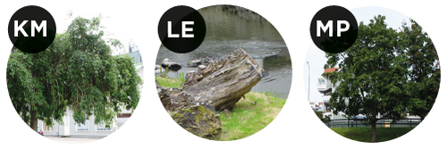 Norrtälje Fotocheckpoints 10-12