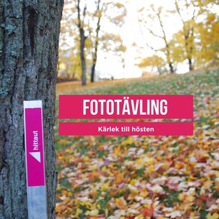 Fotottävling kärlek till hösten (1)