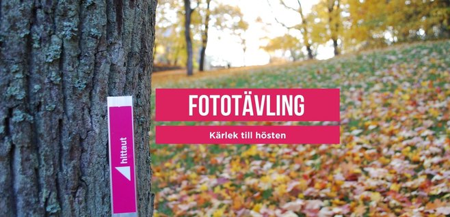 Fotottävling kärlek till hösten (1)