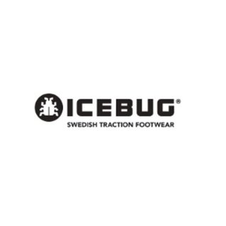 ICEBUG 2.JPG