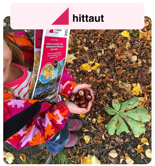 Koncept med USP Hittaut