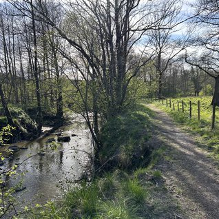 Lärjedalen