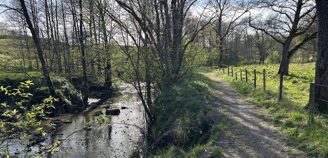 Lärjedalen