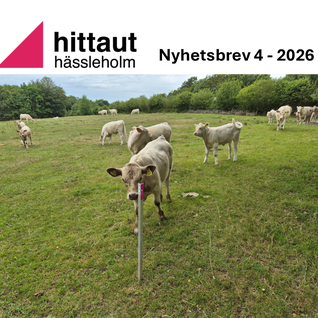 Nyhetsbrev 4