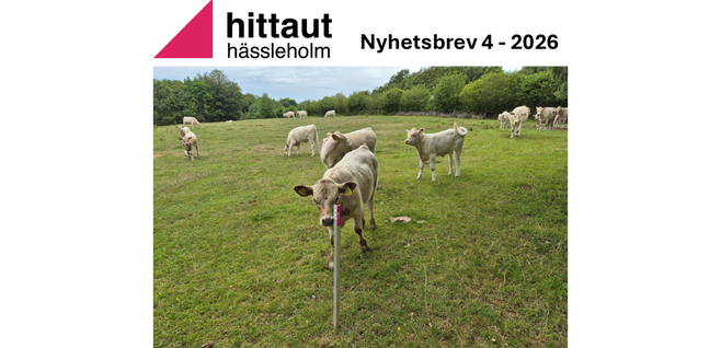 Nyhetsbrev 4