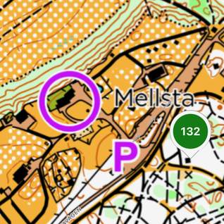Skärmavbild CHP 132_2