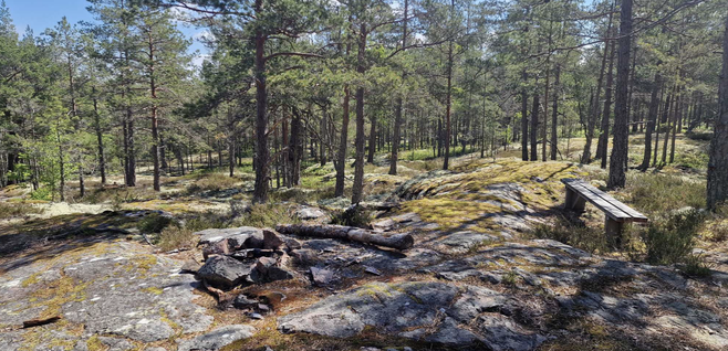 Sörtorpsskogen