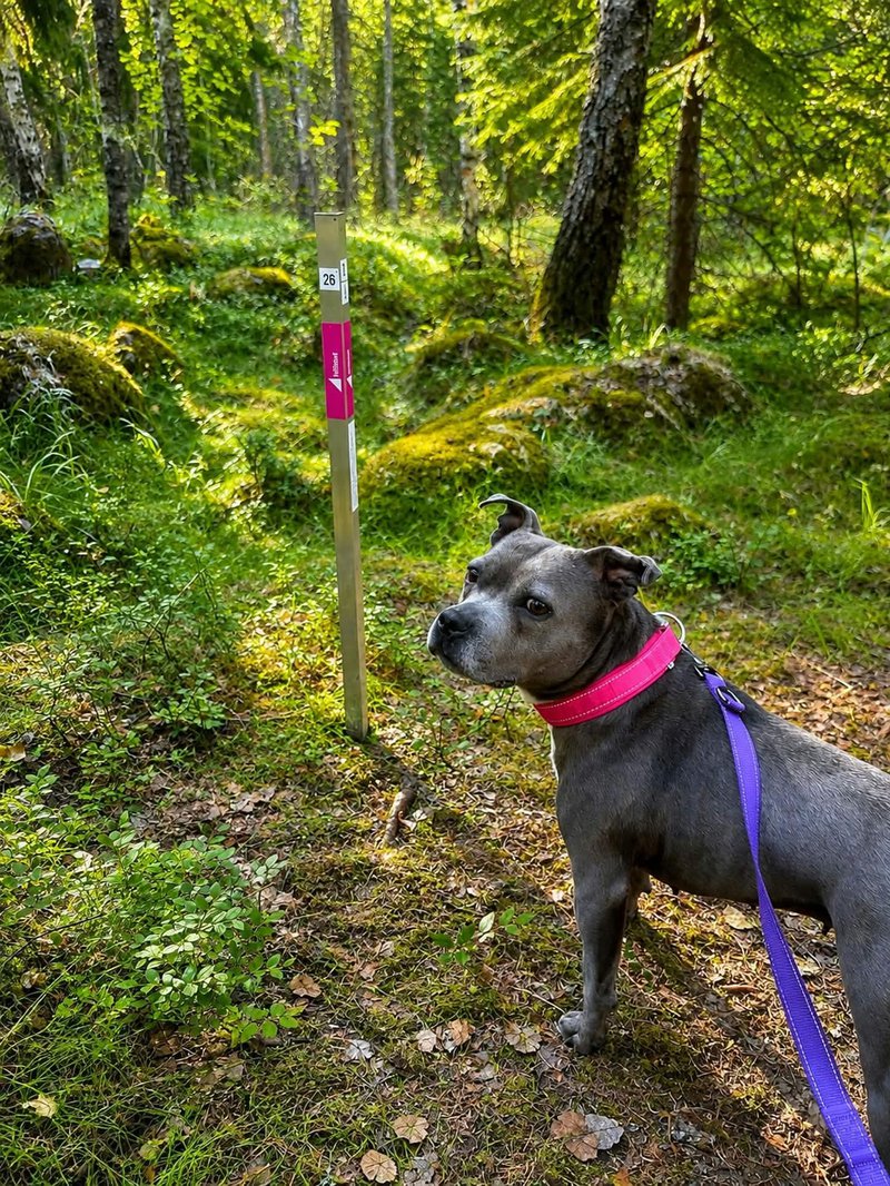 Staffen_greta