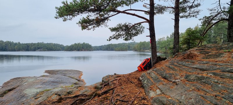 Surtesjön_ale