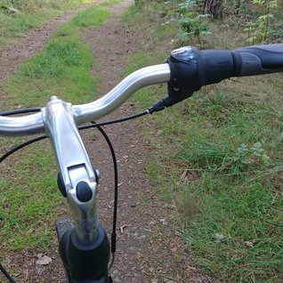 Cykel på skogsväg