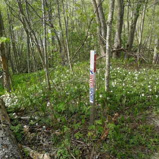 Åsspetsen