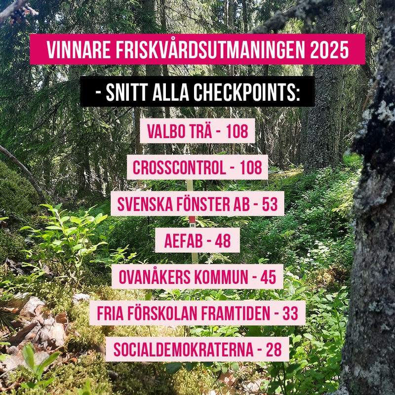 företag2025-snitt2