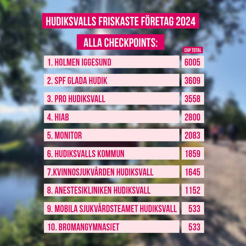 hittauthudik24-sistaveckan-företag1