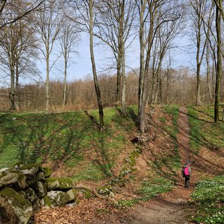 karinjönsson3