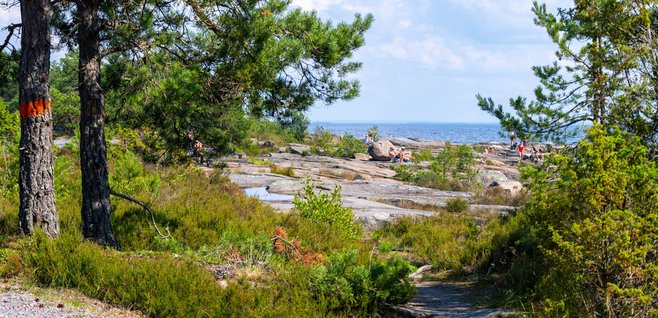 raggarsviken