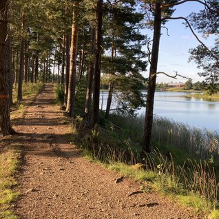 skogssjön.JPEG