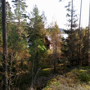 Smårisbostället