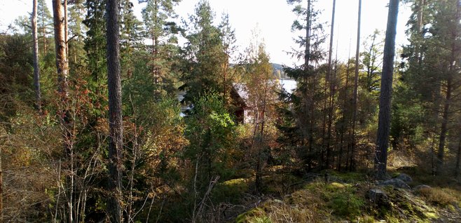 Smårisbostället