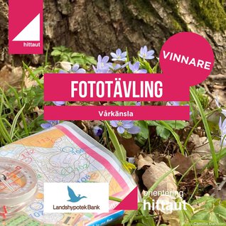 vinnare vårkänsla_fototävling