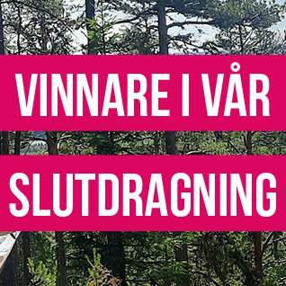 vinstdragning