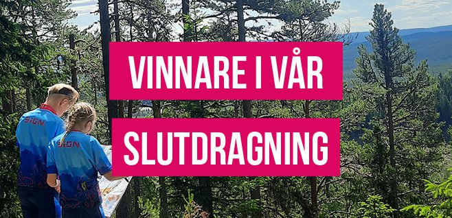 vinstdragning